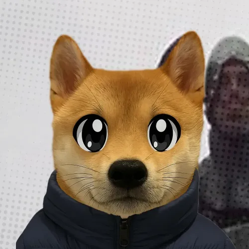 WuFy #455