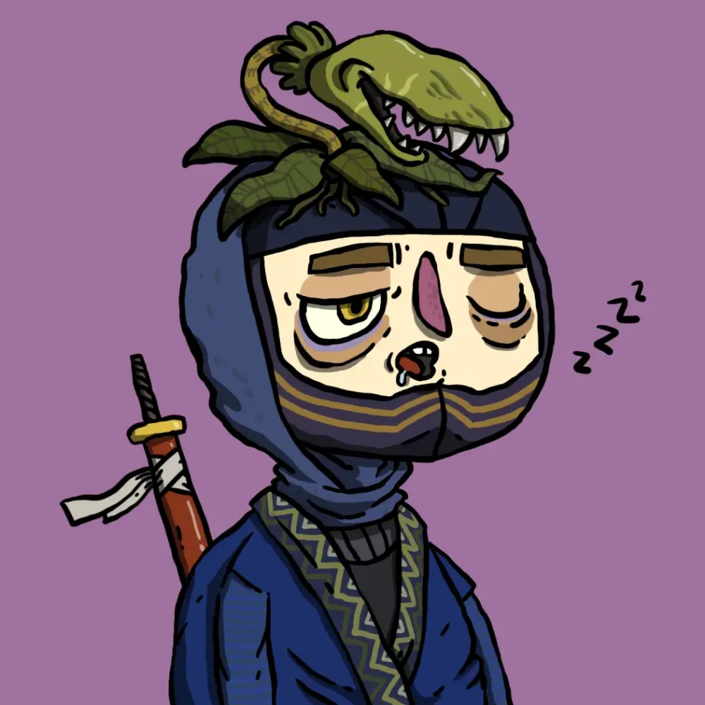 Ninja #8517