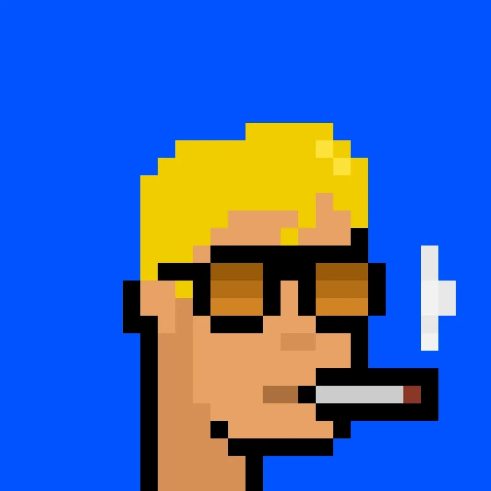 888xPunks #336