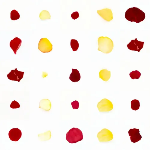 Infinite Petals 5x5#20782