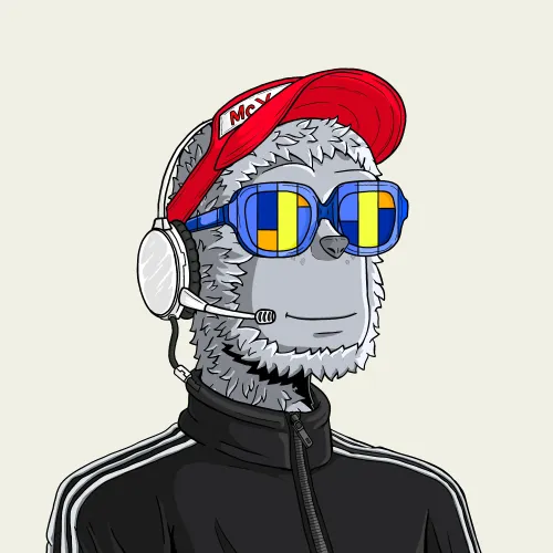 y00t #2363