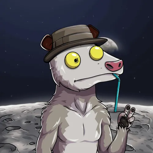 WTF Opossum #660
