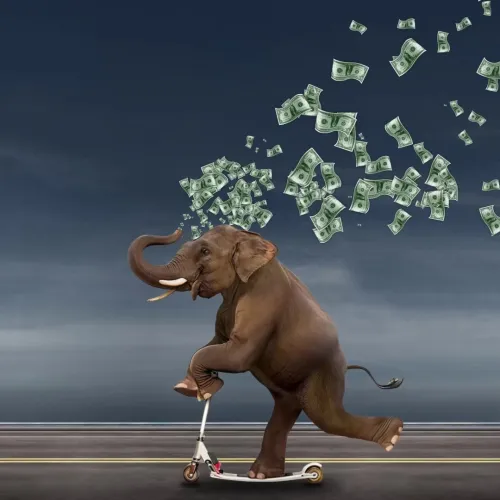 Horton #2