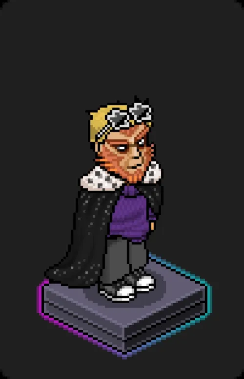 Habbo Crafted Avatar #878