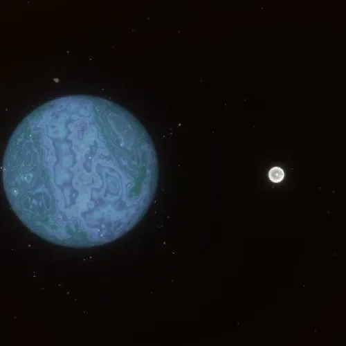 D16P1532 (#93906984)