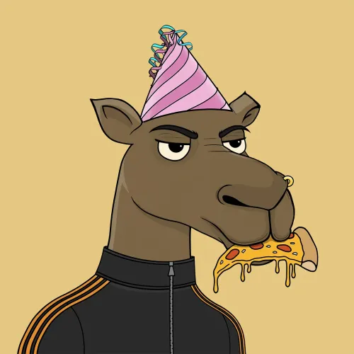 Camel #3786