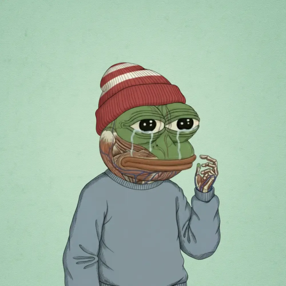 The Anatomy of Pepe #699