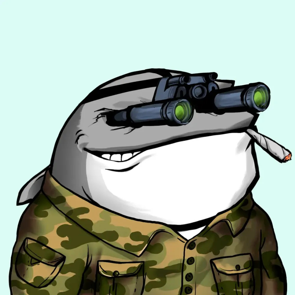 Whale 2006