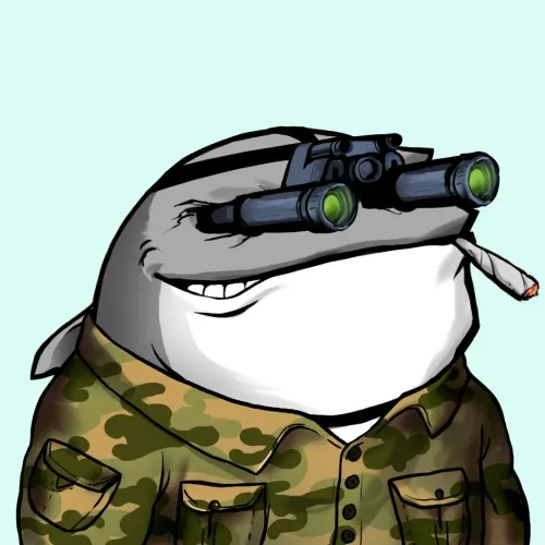 Whale 2006