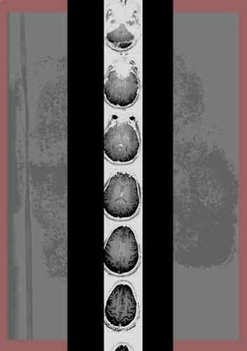 TalineTemizian,SynapticLover #80