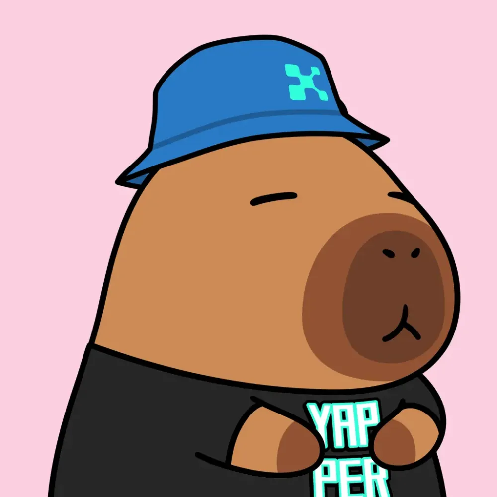 Yapybara #207