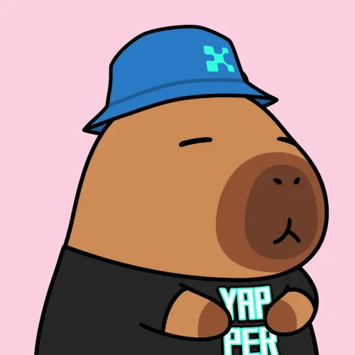 Yapybara #207