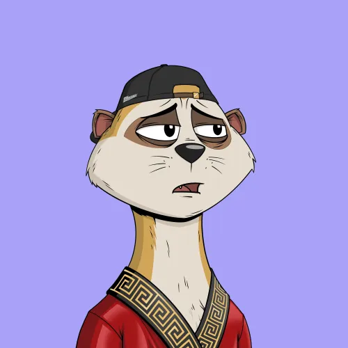 Worried Meerkat #681