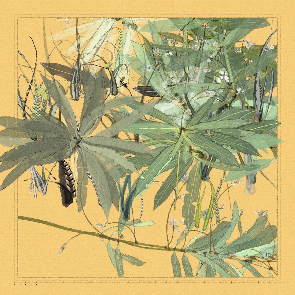 Polypaths | 植徑集 #140