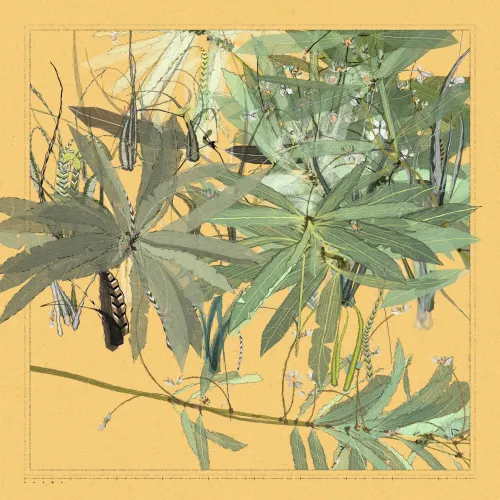Polypaths | 植徑集 #140