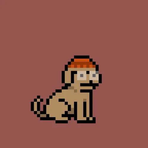 PUPZ #894