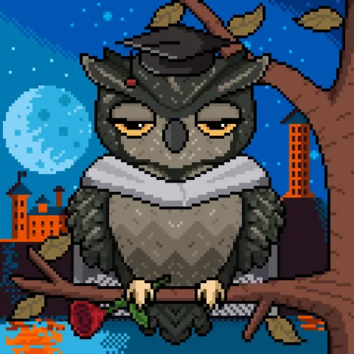 NightOwls #1170