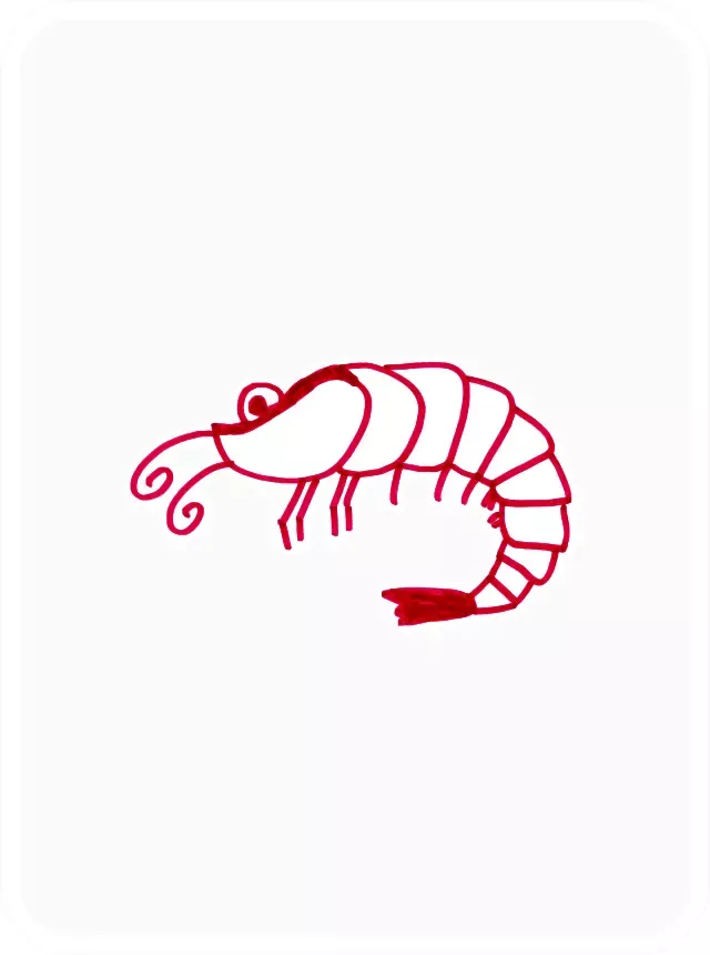 SufficientShrimp #8749