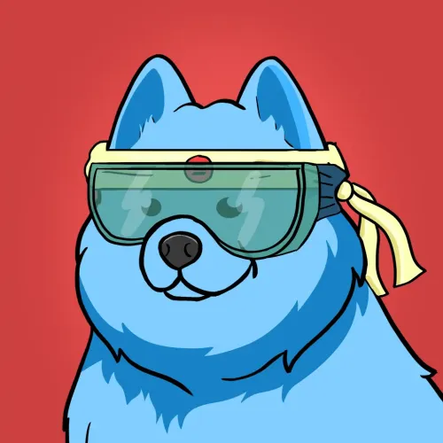 Samoyed #3662