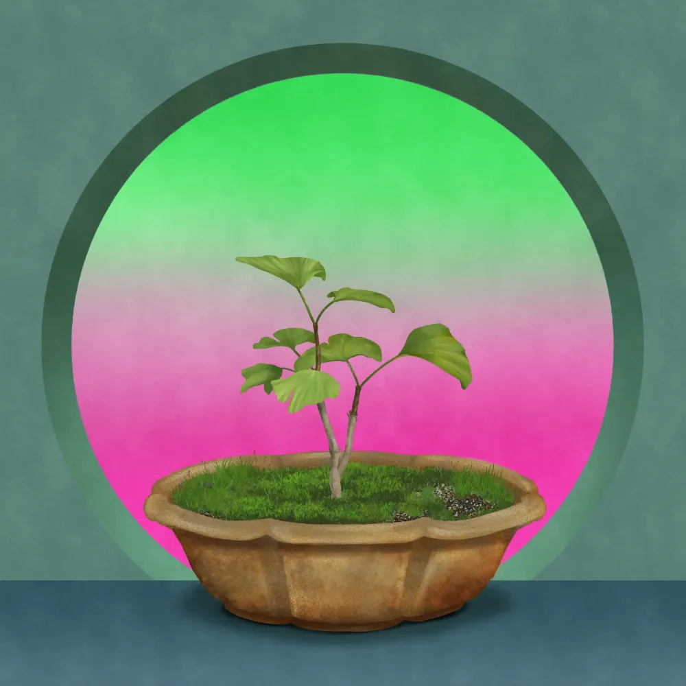 BONSAI NFT FARM #3913