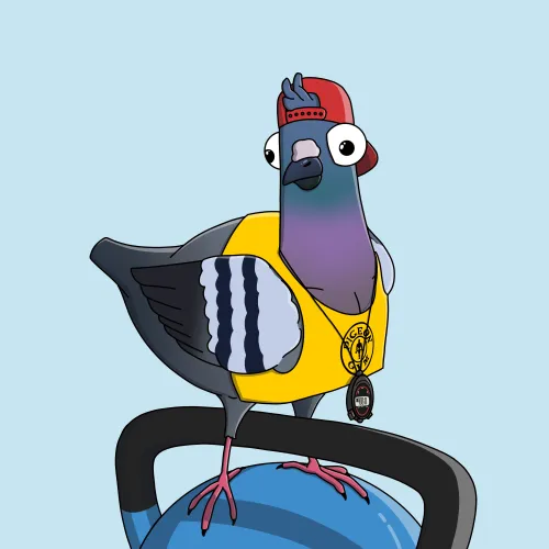 Trainer Pigeon #1