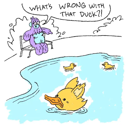 Ducks