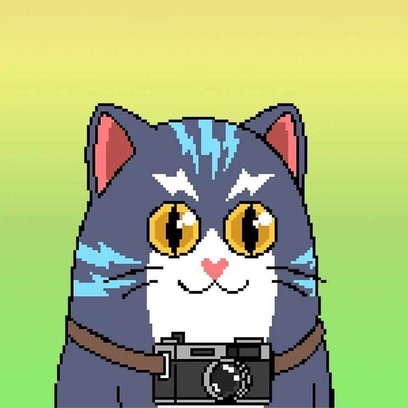 Liberty Cats