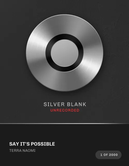 Say It's Possible Silver Blank #2285002