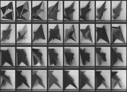 Chronophotograph 189 #189