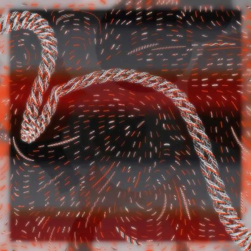 Friendship Bracelets #16573