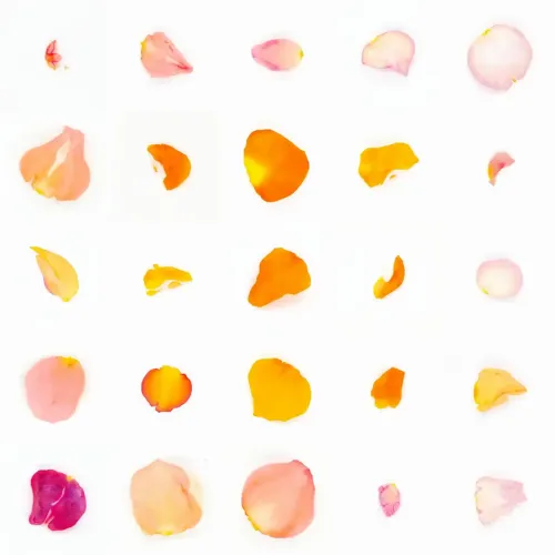 Infinite Petals 5x5#21434