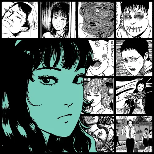 #810