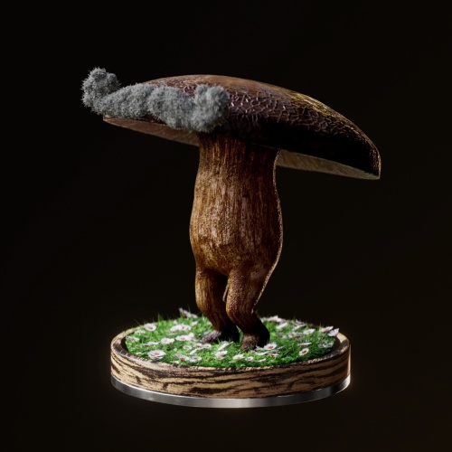 Fungi #5682