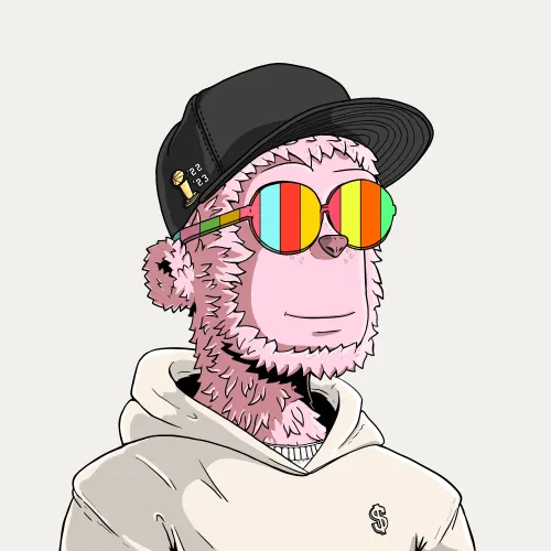 y00t #9877