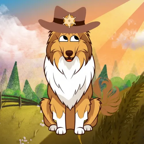 Collie 7