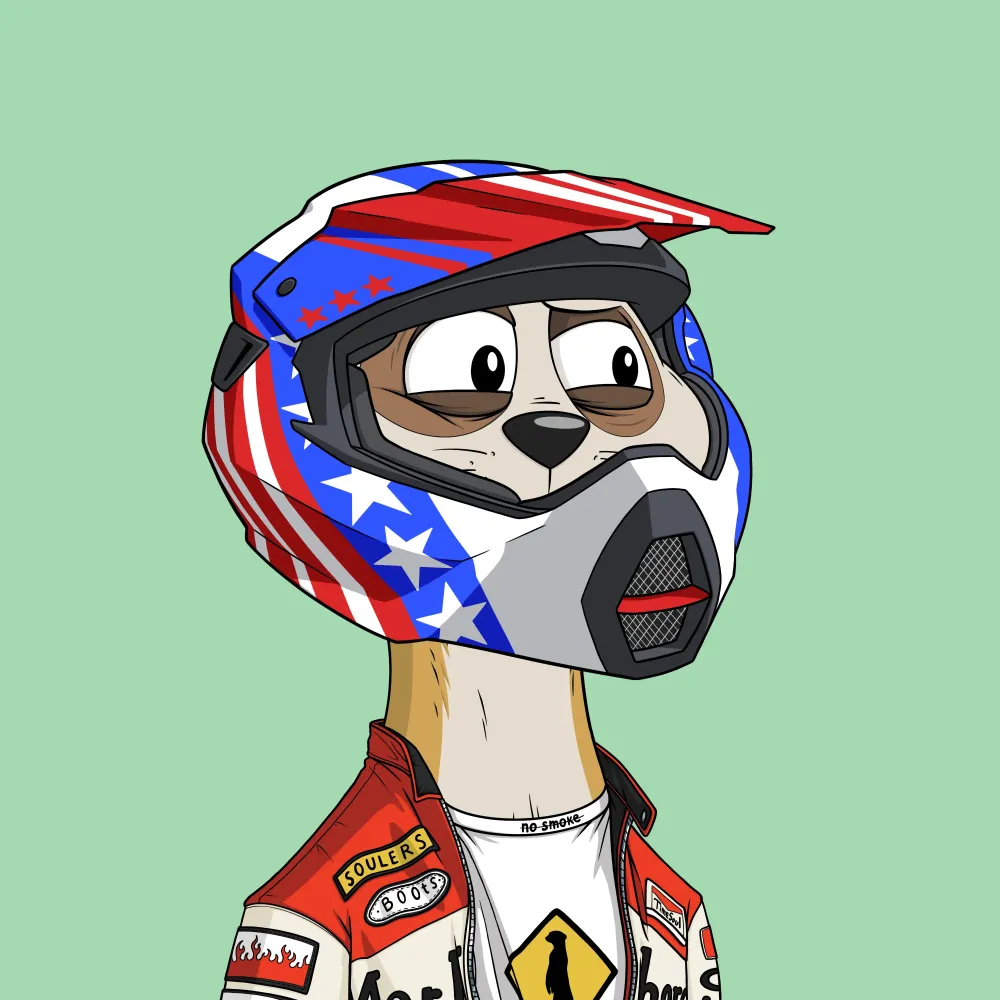Worried Meerkat #1137
