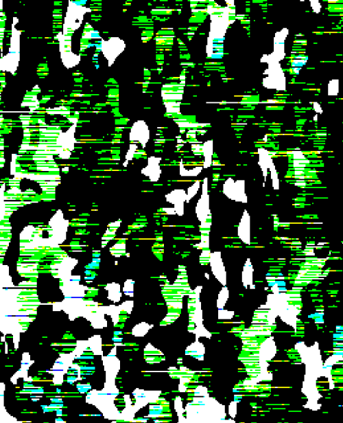 treeseverywhere #52003