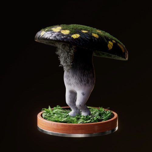 Fungi #5646