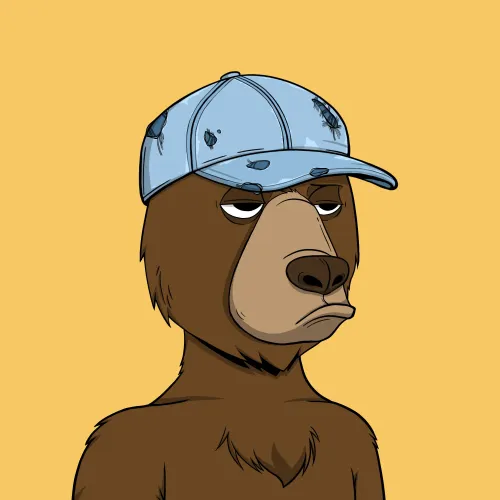 Okay Bear #2498