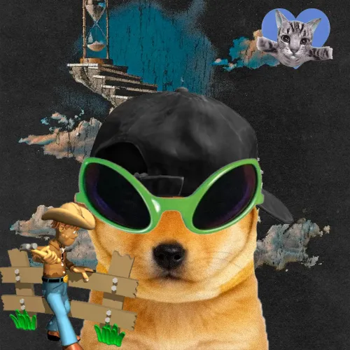 INU #512