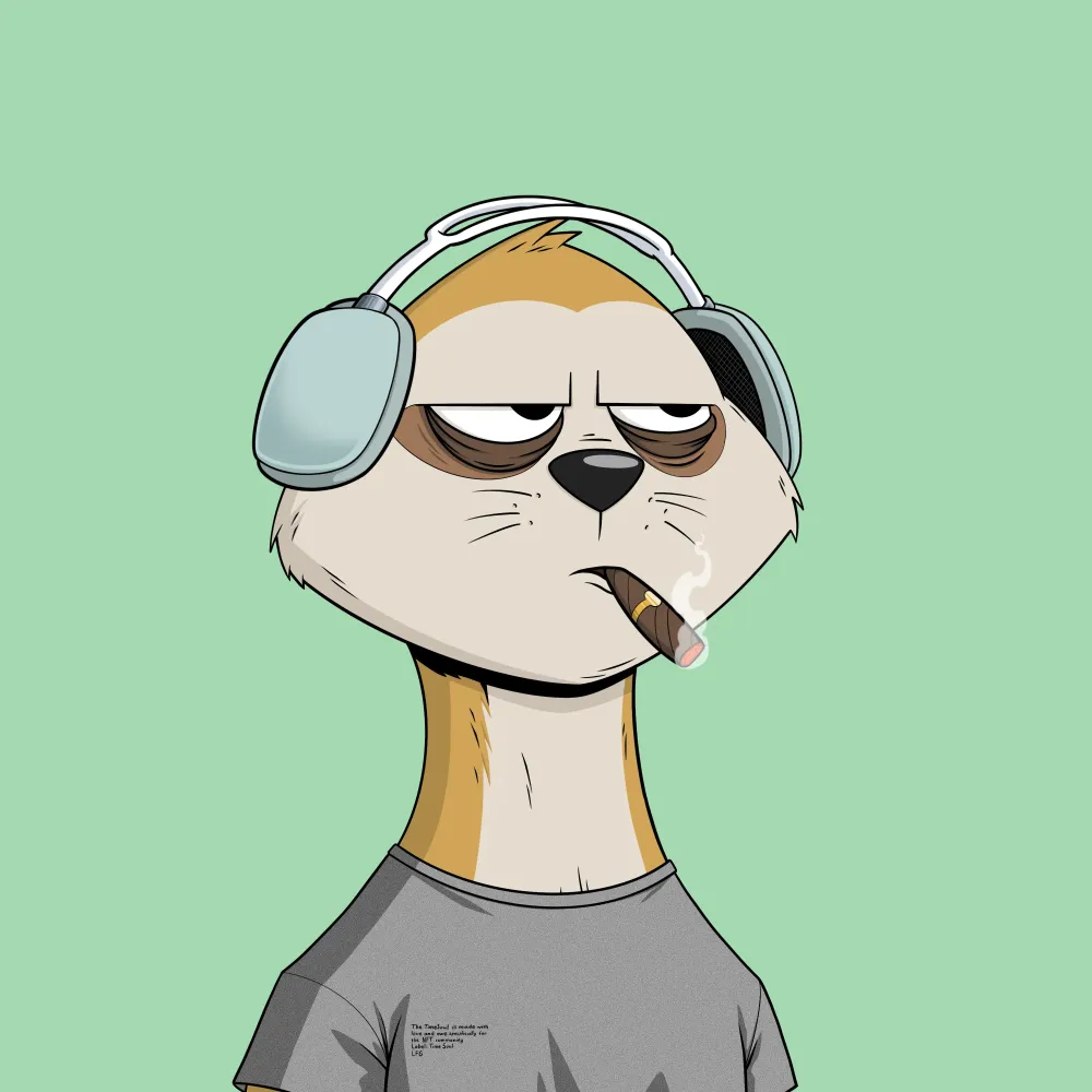 Worried Meerkat #453