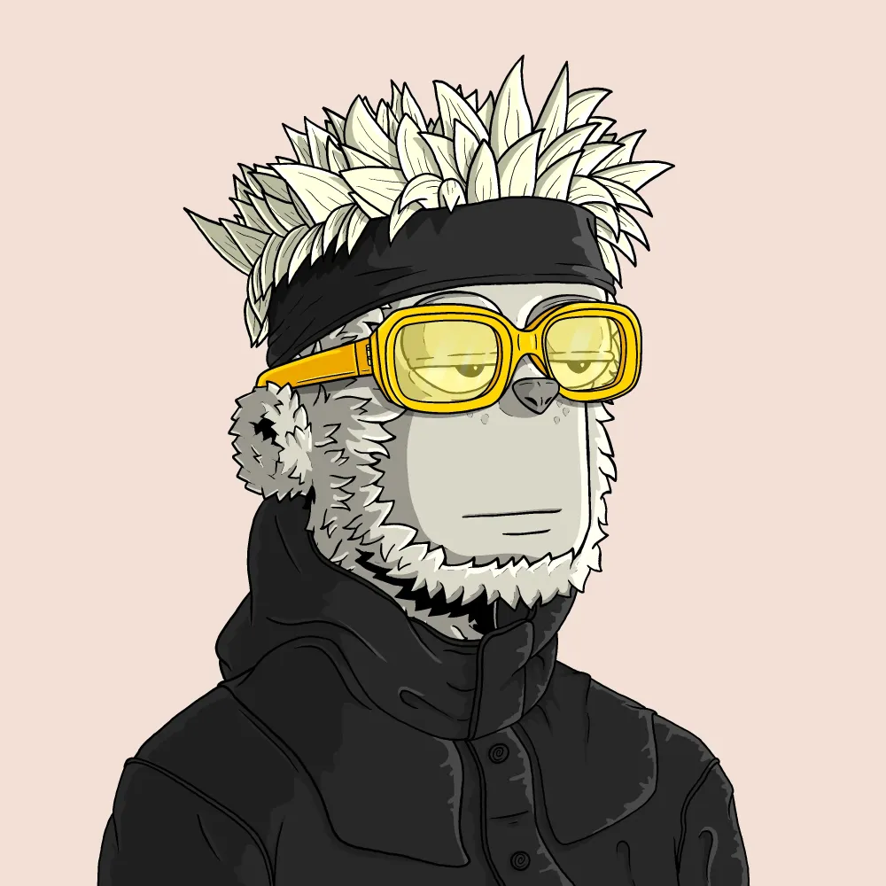 y00t #7037