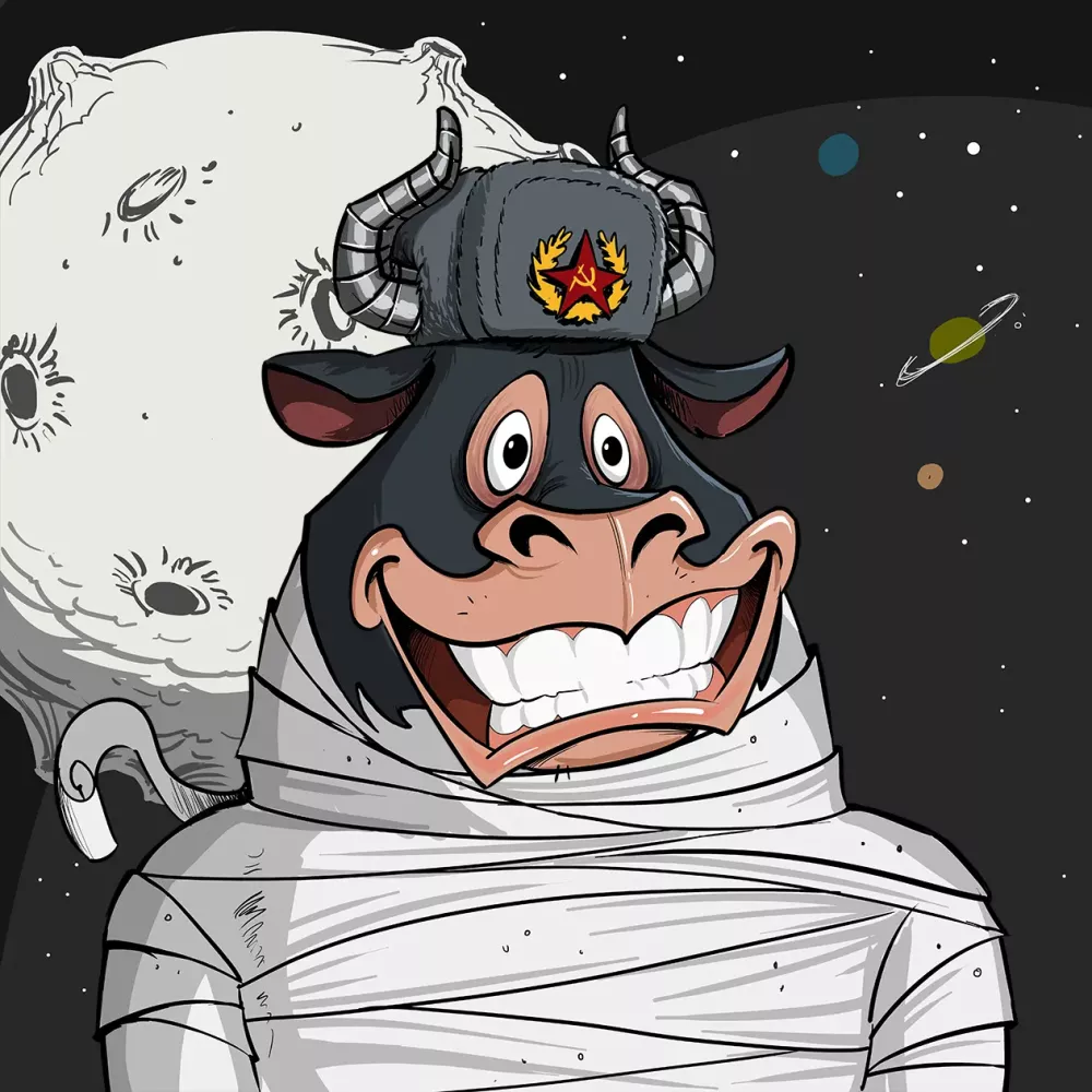 BullsOnTheBlock #6582