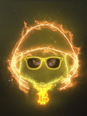 LIFINITY Flares #3269