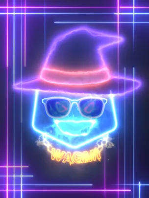 LIFINITY Flares #7997