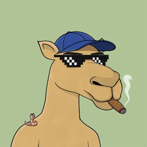 Camel #6457