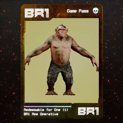 BR1 Character #620