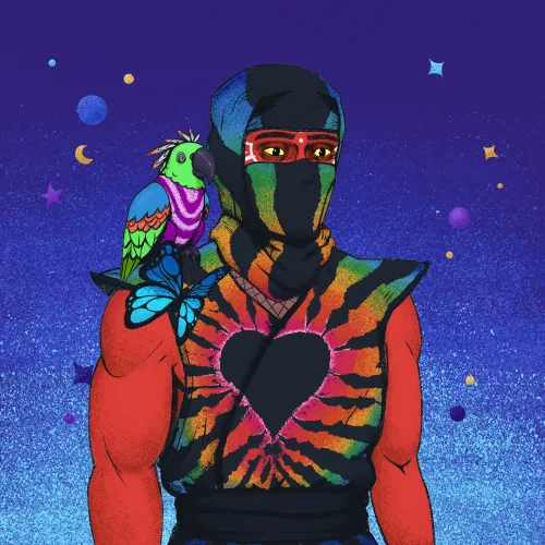 TieDyeNinja #4547