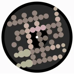 EulerBeatsGenesisLP11Print #563580897539