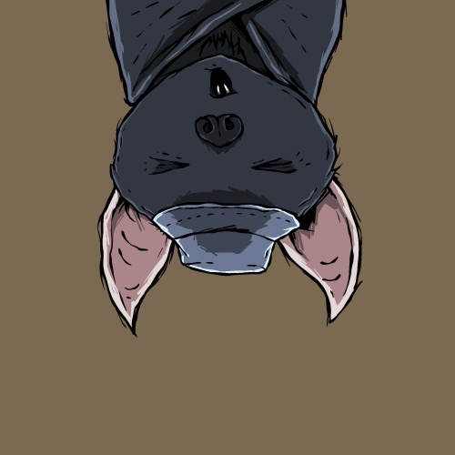 Moon Bats #579
